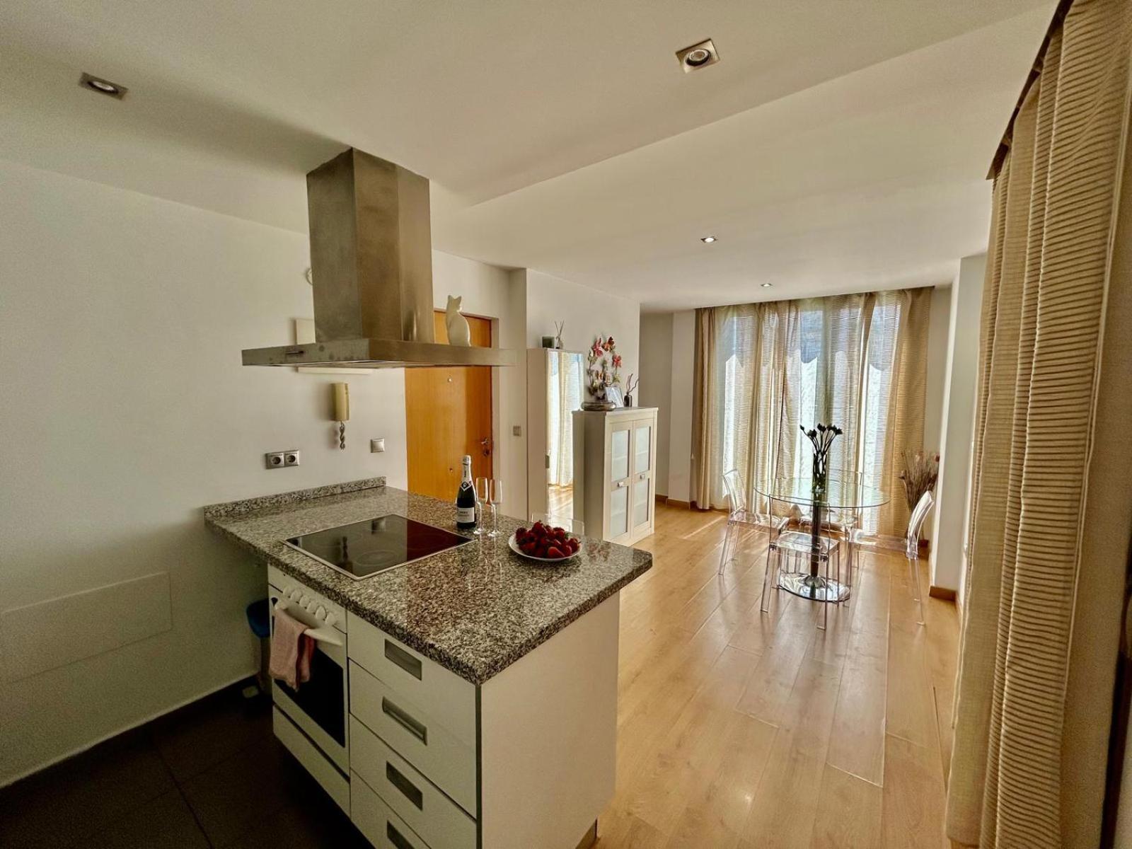 2 Big Terraces Penthouse City Center Alicante Eksteriør billede